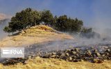 ۳۰ هکتار از مراتع دهلران در آتش سوخت