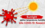 آیا نور خورشید در تابستان ویروس کرونا را غیرفعال می‌کند؟