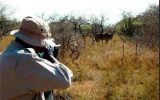دستگیری هشت شکارچی غیرمجاز در ایلام