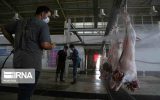 عزاداران احشام قربانی را در کشتارگاه های مجاز ذبح کنند