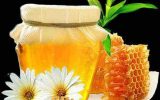 اردبیل سومین استان برتر تولید کننده عسل در کشور است