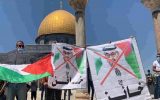 قطعنامه های جدید سازمان ملل علیه ناقضان حقوق فلسطین