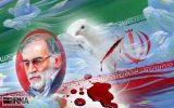 با تروریک دانشمند چراغ علم و پیشرفت ایران متوقف نمی شود