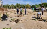 نخستین باغ میوه‌های گرمسیری کشور در قشم افتتاح شد