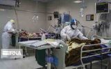 ۲۶ بیمار مبتلا به کرونا در ایلام بستری هستند