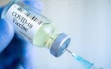 تزریق بالینی واکسن کرونا پاستور در ۷ استان آغاز می شود