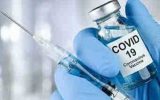 درخواست‌ برخی کشورها برای استفاده از واکسن ایرانی کرونا