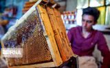 پیشنهاد ارایه تسهیلات ۵.۸ هزار میلیارد تومانی به زنبورداران