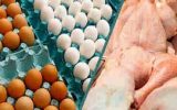 خرید مرغ و تخم مرغ از مراکز غیرمجاز خطر مسمومیت در پی دارد