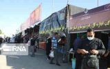 ۱۰ تن سیب درختی بین زائران در مهران توزیع شد