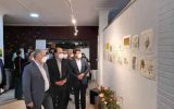 نمایشگاه ریشه دار مثل بلوط در ایلام گشایش یافت