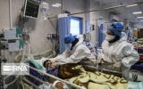 هفت مبتلای کرونا در مراکز درمانی ایلام بستری شدند
