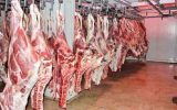 طرح تهاتر گوشت قرمز با نهاده‌ از ۱۰ روز آینده اجرایی می‌شود