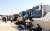 یک هزار دستگاه اتوبوس سپاه در مهران زائران اربعین را جابجا می کنند