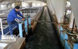 پساب تصفیه‌خانه فاضلاب مهدی‌آباد جایگزین آب مصرفی واحدهای صنعتی ایلام می‌شود