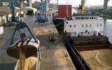 واردات ۶ کشتی کالای اساسی در هر هفته برای تامین امنیت غذایی کشور