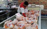 جمع‌آوری ۱۳ هزار تن مرغ مازاد نژاد آرین از بازار