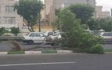 هشدار زرد هواشناسی درباره طوفان در تهران و ۷ استان دیگر