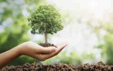 انعقاد ۹ تفاهم‌نامه همکاری با دستگاه‌های کشور برای کاشت یک میلیارد درخت