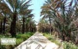 بوشهر چشم‌انتظار گردشگران نوروزی در کرانه‌ خلیج فارس، خوش‎بین به جذب گردشگران بین‌المللی   * مونا عیدان