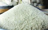 ممنوعیت فصلی واردات برنج برای حمایت از تولید داخل پابرجاست