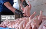 یک مقام وزارت کشاورزی: قیمت مرغ تثبیت می‌شود