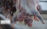 نخستین محموله گوشت گوسفندی از کنیا به ایران ارسال شد