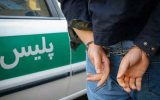عامل سرقت های اخیر در شهرستان سیروان دستگیر شد
