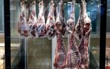 قائم‌مقام وزیر جهاد کشاورزی مطرح کرد؛ روند کاهش قیمت گوشت گوسفندی با اقدامات تنظیم بازاری دولت