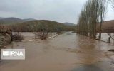 معاون سیاسی استاندار: خسارات بارش های اخیر در ایلام با توجه به اقدامات پیشگیرانه به حداقل رسید
