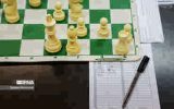 دومین دوره مسابقات بین‌المللی شطرنج جام آلامتو در ایلام پایان یافت