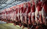 رییس شورای تامین دام کشور اعلام‌کرد: ثبات قیمت گوشت قرمز در بازار/ انتظار کاهش نرخ‌ها در هفته‌های آینده