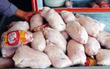 بیش از ۴۰۰ تُن مرغ آماده تحویل به کشتارگاه های ایلام است