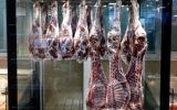 رییس شورای تامین دام: دام زنده و گوشت قرمز به میزان کافی در بازار موجود است/ قیمت گوشت منجمد بدون تغییر