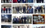 بازدید رئیس سازمان جهادکشاورزی استان از پروژه‌های کشاورزی شهرستان ملکشاهی