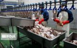 سهم ۹۷ درصدی مرغ از عرضه گوشت طیور در دی‌ماه ۱۴۰۲/ رشد ۲ درصدی عرضه
