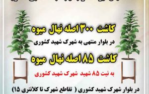 برگزاری کاشت نهال مثمر در شهرک شهید کشوری ایلام
