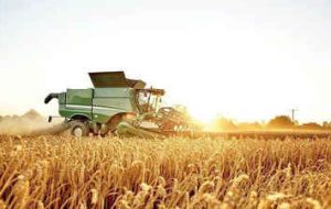 فایل ۱۰۳ هزار تن گندم خریداری شده به بانک کشاورزی ایلام ارسال شد