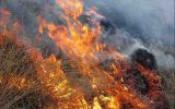 آتش‌سوزی اراضی جنگلی «آب انار» آبدانان بعد از ۴۸ ساعت مهار شد