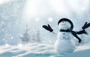 برف برک خدا  *سیدحرمت الله موسوی مقدم