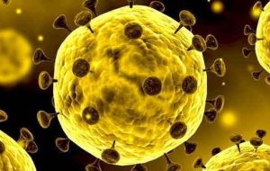 مراقبتهای پیشگیری از ویروس کرونا در مرز میرجاوه تشدید شد مراقبتهای پیشگیری از ویروس کرونا در مرز میرجاوه تشدید شد