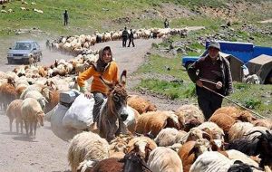 درخواست یک فعال سیاسی از استاندار ایلام برای مدیریت کوچ عشایر درخواست یک فعال سیاسی از استاندار ایلام برای مدیریت کوچ عشایر