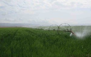 طرحهای زهکشی و آبیاری دهلران امسال تکمیل میشود طرحهای زهکشی و آبیاری دهلران امسال تکمیل میشود