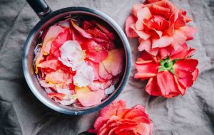 پوستی درخشان می‌خواهید؟ عصاره گل رز درست کنید