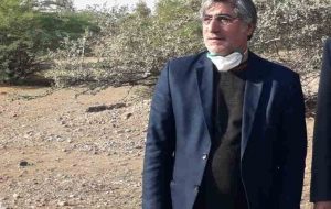 ۱۰۰ هزار هکتار جنگل کاری و زراعت چوب در کشور اجرا می شود