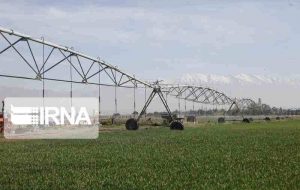 ۸۰ میلیارد ریال برای تکمیل شبکه آبیاری پهله و پرچینه دهلران نیاز است