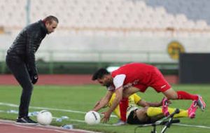 حمایت باشگاه پرسپولیس از گل‌محمدی