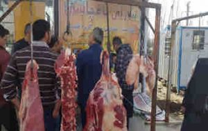 کشتار غیرمجاز دام در ایلام بر افزایش قیمت دامن زده است