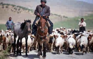کوچ سنتی عشایر در ایلام ممنوع است