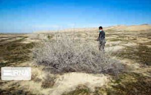ممنوعیت نوبت‌بندی آب در شهرها و روستاهای کشور